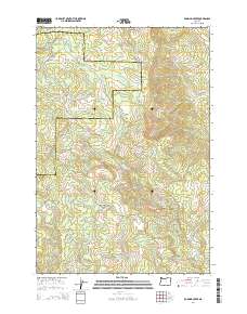 2014 Map of Roaring Creek, 2014 Print