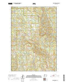 2020 Map of Roaring Creek, 2020 Print