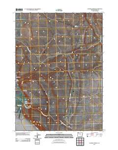 2011 Map of Roaring Springs, 2011 Print
