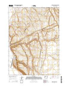 2014 Map of Roaring Springs, 2014 Print