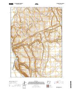 2020 Map of Roaring Springs, 2020 Print