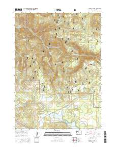 2014 Map of Robinson Butte, 2014 Print