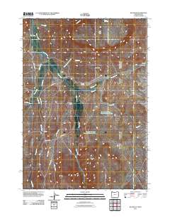 2011 Map of Rockville, 2011 Print