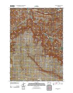 2011 Map of Rodman Rim, 2011 Print