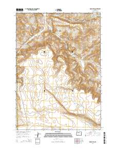 2014 Map of Rodman Rim, 2014 Print