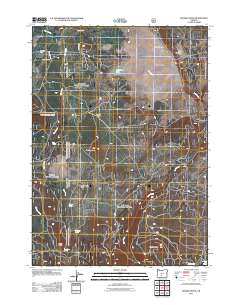 2011 Map of Rodman Rock, 2011 Print