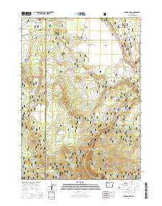 2014 Map of Rodman Rock, 2014 Print