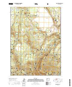 2020 Map of Rodman Rock, 2020 Print