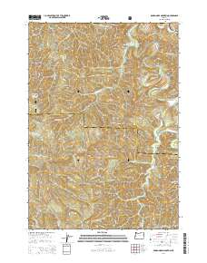 2014 Map of Roman Nose Mountain, 2014 Print