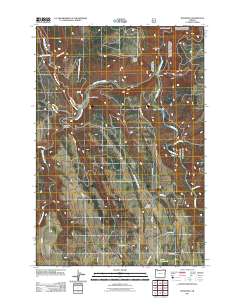 2011 Map of Rondowa, 2011 Print