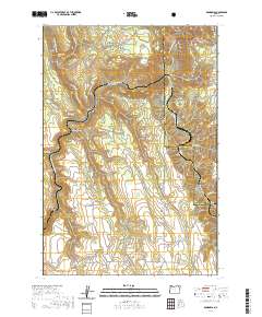 2020 Map of Rondowa, 2020 Print