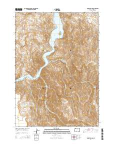 2014 Map of Rooster Comb, 2014 Print