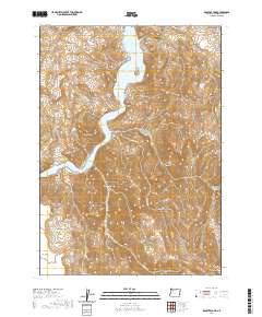 2020 Map of Rooster Comb, 2020 Print
