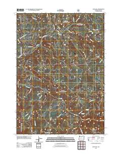 2011 Map of Rose Hill, 2011 Print