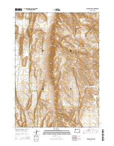 2014 Map of Ryegrass Butte, 2014 Print