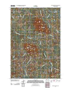 2011 Map of Saddle Mountain, 2011 Print
