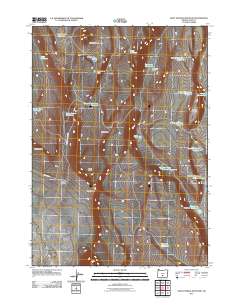 2011 Map of Saint Patrick Mountain, 2011 Print