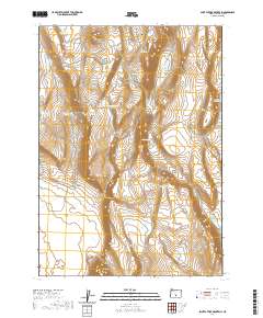 2020 Map of Saint Patrick Mountain, 2020 Print