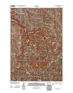 2011 Map of Salmon Fork, 2011 Print