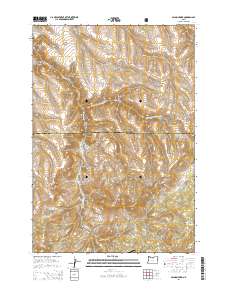 2014 Map of Salmon Fork, 2014 Print