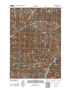 2011 Map of Salt Butte, 2011 Print