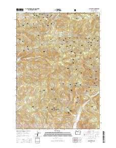 2014 Map of Salt Butte, 2014 Print