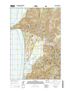 2014 Map of Sand Lake, 2014 Print