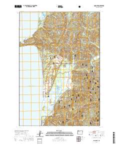 2020 Map of Sand Lake, 2020 Print