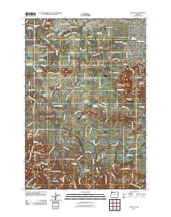 2011 Map of Scholls, 2011 Print
