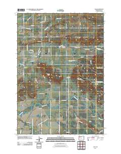 2011 Map of Scio, 2011 Print