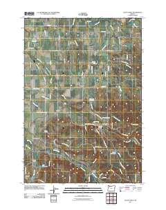 2011 Map of Scotts Mills, 2011 Print