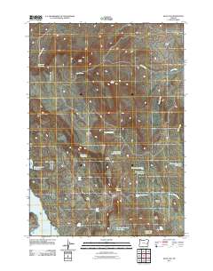 2011 Map of Selle Gap, 2011 Print