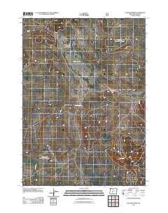 2011 Map of Sellers Marsh, 2011 Print