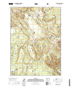 2020 Map of Sellers Marsh, 2020 Print