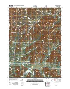 2011 Map of Selma, 2011 Print