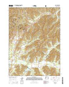 2014 Map of Selma, 2014 Print