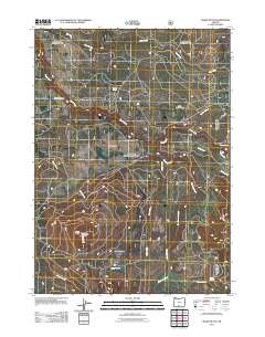 2011 Map of Shake Butte, 2011 Print