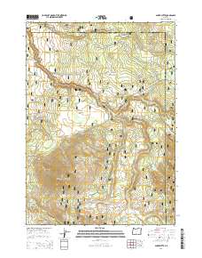 2014 Map of Shake Butte, 2014 Print