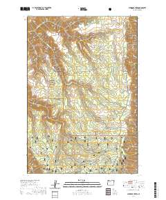 2020 Map of Shamrock Creek, 2020 Print