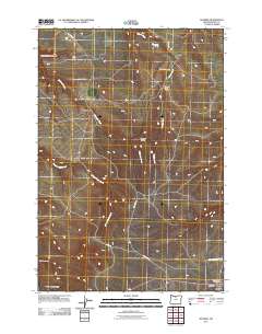 2011 Map of Shaniko, 2011 Print