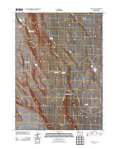 2011 Map of Sharp Top, 2011 Print