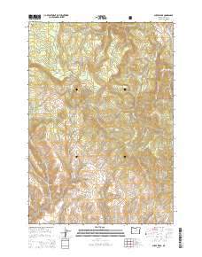 2014 Map of Sheep Ridge, 2014 Print