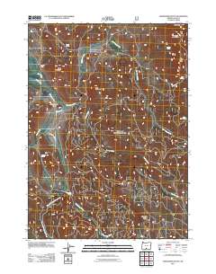 2011 Map of Shoestring Butte, 2011 Print