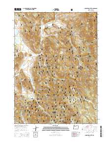2014 Map of Shoestring Butte, 2014 Print