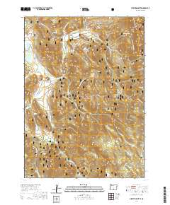 2020 Map of Shoestring Butte, 2020 Print