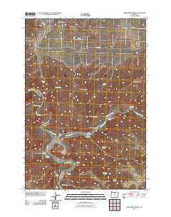2011 Map of Shoestring Ridge, 2011 Print
