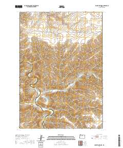 2020 Map of Shoestring Ridge, 2020 Print