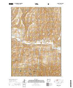 2020 Map of Shop Gulch, 2020 Print