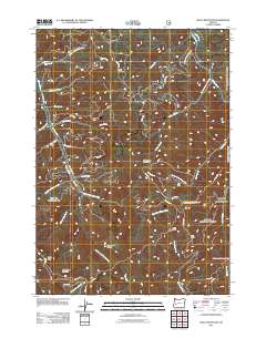 2011 Map of Silica Mountain, 2011 Print