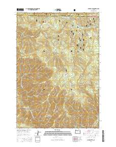2014 Map of Silver Butte, 2014 Print